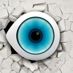 ערוץ האח הגדול